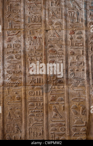 Ancient hieroglyphs Horus temple Edfu Egypt Stock Photo