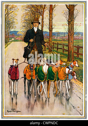 Greyhounds At Exercise, Edwardian illustration of a prized collection of greyhounds, coats on, out walking in a country lane Stock Photo