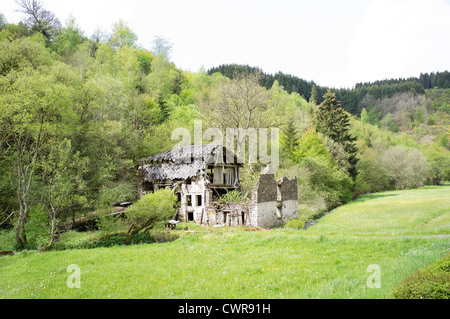 Old wreck house surrounded by trees in forest Stock Photo
