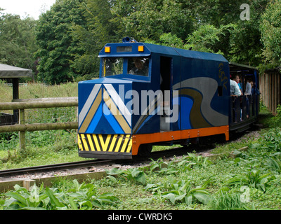 Narrow gauge diesel railway, Beale Park, Reading, Berkshire, UK Stock Photo