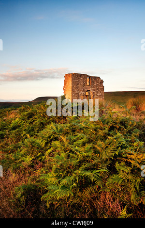 The ruin of Skelton Tower overlooking Newtondale in the North Yorkshire Moors National Park Stock Photo