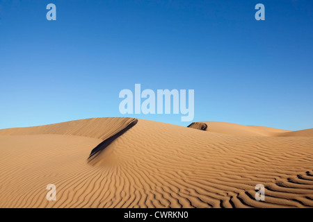 Sahara desert sand dunes with clear blue sky at Erg Lihoudi, M'hamid, Morocco. Stock Photo