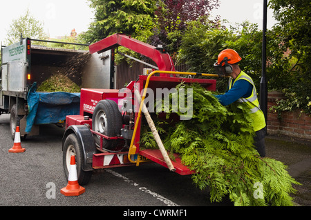 A tree surgeon, working at the roadside, using a chipper / shredder to convert branches from a tree into a mulch. UK Stock Photo