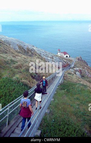 Point Reyes National Seashore, California, USA - Tourists walking up / down 300 Steps / Stairs to Point Reyes Lighthouse Stock Photo