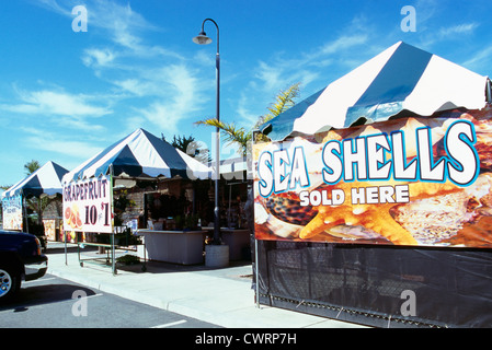 Moss Landing near Monterey, California, USA - Sea Shells / Seashells for sale at the Whole Enchilada Market Place Stock Photo