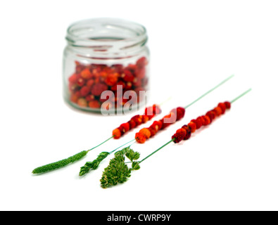 Wild forest strawberries in pot and string on bent wisp isolated on white background. Stock Photo