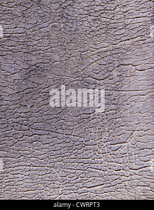 sun damaged weathered cracked leather background texture Stock Photo