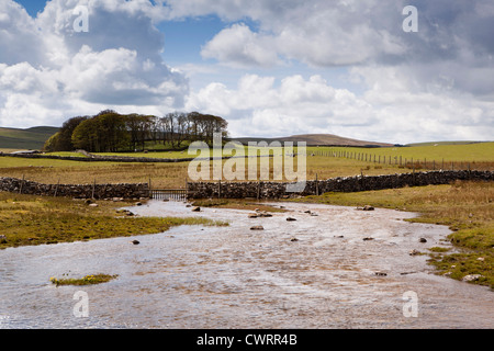 UK, England, Yorkshire, Malham, water flowing from Tarn before disappearing in sink hole Stock Photo