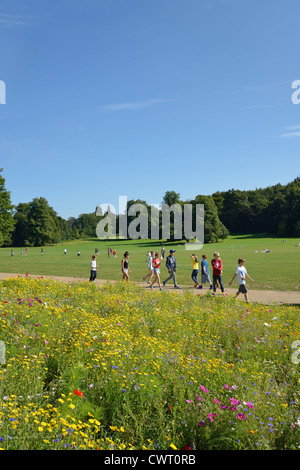 Walking track in Priory Park, Reigate, Surrey, England, United Kingdom Stock Photo