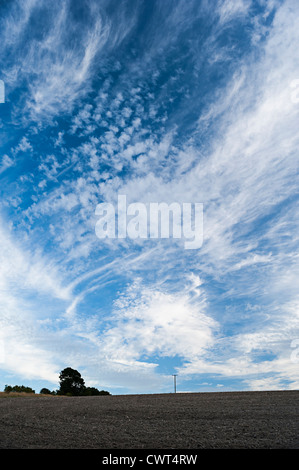 Big sky with cirrus clouds over ploughed field Stock Photo