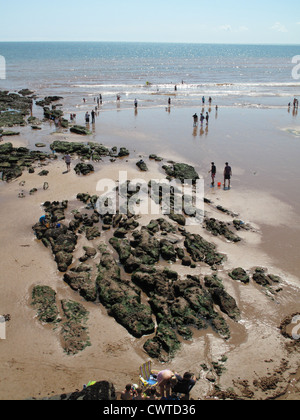 Rock pools and holiday makers at Sidmouth from Jacobs Ladder on a fine August summer day, Devon Stock Photo