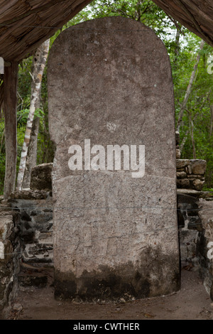 Carved stela at Coba Myan Ruins, Mexico Stock Photo