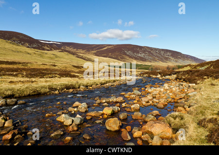 Clunie Water, Braemar, a small highland stream in summer Stock Photo