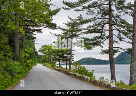 Sargent Drive alongside Somes Sound in Acadia National Park, Mount Desert Island, Maine, USA Stock Photo