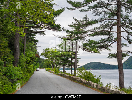Car on Sargent Drive alongside Somes Sound in Acadia National Park, Mount Desert Island, Maine, USA Stock Photo