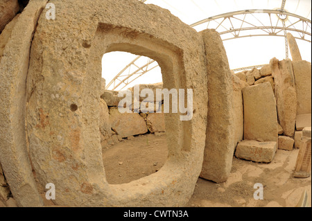 Malta, Hagar Qim, temple,prehistoric megalithic now under canopy Stock Photo