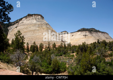 Checkerboard Mesa in Zion National Park, USA Stock Photo - Alamy