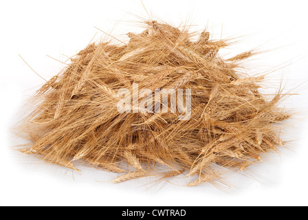 Pile of wheat ears of wheat Stock Photo