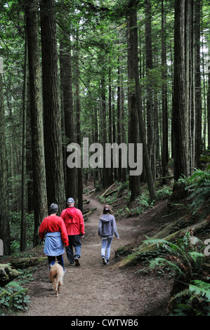 Family with dog walking through the tallest trees in the world, the Giant Sequoias in Redwood forests of Northern California Stock Photo