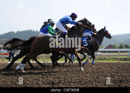 Horse racing at Humboldt County Fairgrounds in Ferndale, California Stock Photo