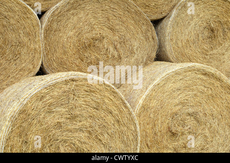 Large round straw hay bales. Farm subsidies metaphor, also going round in circles. Stock Photo