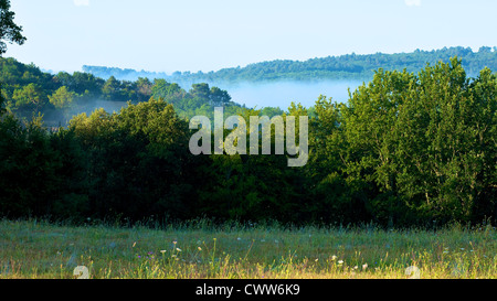 Fog slowly lifts in the early morning sunlight in the Vallee de la Dordogne with forest and wild flowers in the foreground Stock Photo