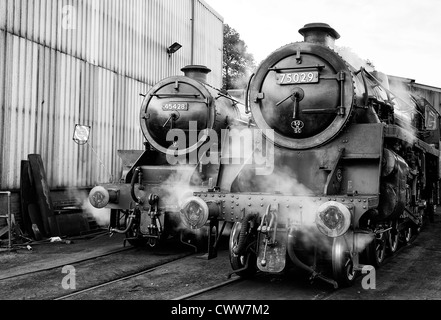 Steam engines Eric Treacy and the Green Knight Grosmont engine sheds on the North Yorkshire Moors railway Stock Photo