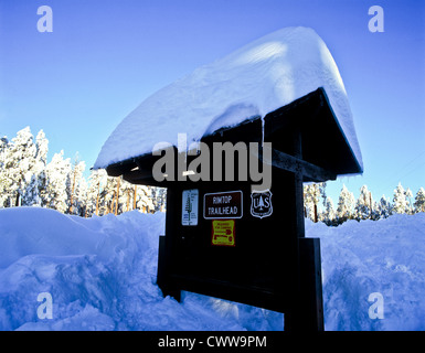 Payson Snow Heavy snow north of Payson, Arizona. Pile of cut firewood, Mogollon Rim ...