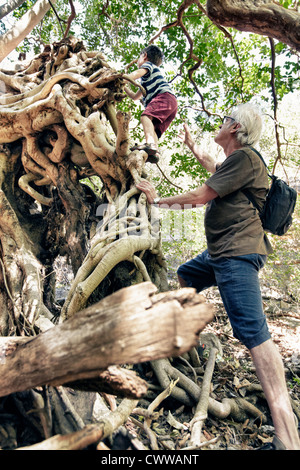 Older man and grandson climbing tree Stock Photo