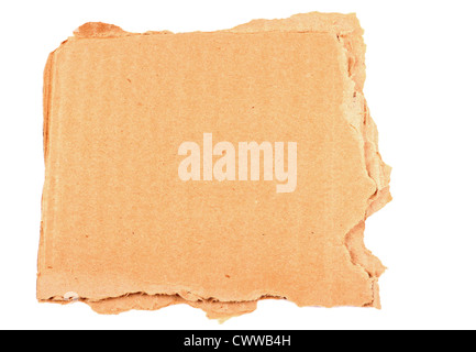A piece of corrugated cardboard with ripped edges. Stock Photo