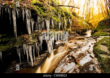 Icicles on trees by frozen river Stock Photo