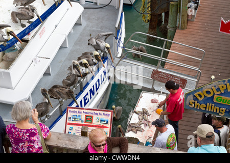 Deep sea fishing boat hand cleaning fish on the pier at John's Pass in Madeira Beach, Florida Stock Photo