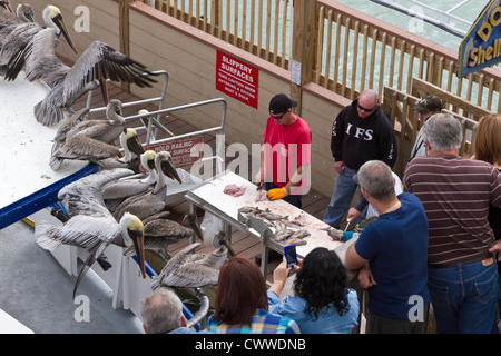 Deep sea fishing boat hand cleaning fish on the pier at John's Pass in Madeira Beach, Florida Stock Photo