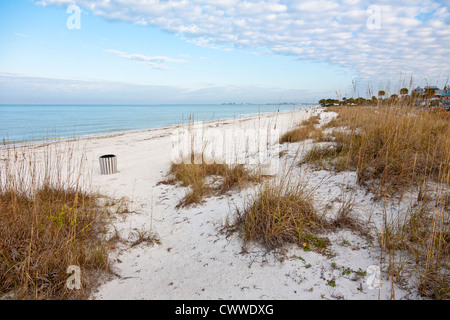 Dunes and sea grasses along coast line in Pass A Grill Beach, Florida Stock Photo