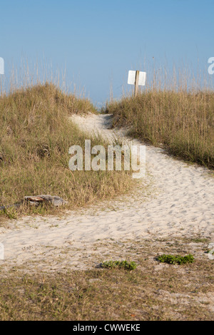 Sand walkway in the grasses over sand dunes on the beach at Amelia Island, Florida Stock Photo