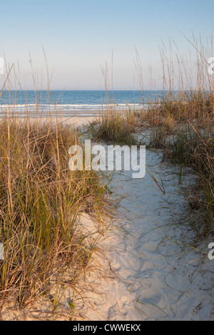 Sand walkway in the grasses over sand dunes on the beach at Amelia Island, Florida Stock Photo