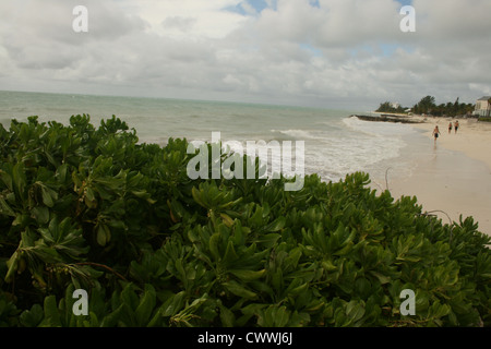Grand Bahamas Our Lucaya bahama island resort beach freeport Stock Photo