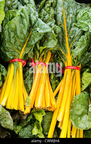 Fresh yellow swiss chard on display at the market Stock Photo