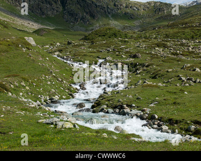 Stream rushing over rocks in meadow Stock Photo