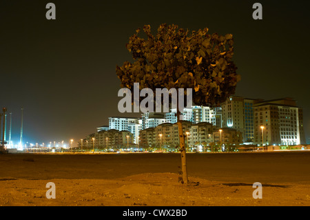 Tree growing in urban lot Stock Photo