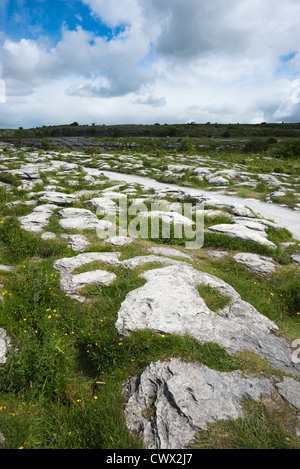 The Burren, Co. Clare, Ireland. Limestone pavements crisscrossing Stock ...