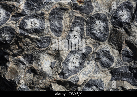 closeup of surface orbicular granite block, Finland Stock Photo