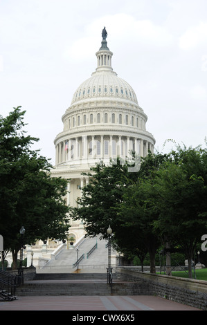 United States Capital Dome with trees on the foreground Stock Photo