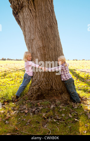 Twin sisters are hugging a tree. Stock Photo