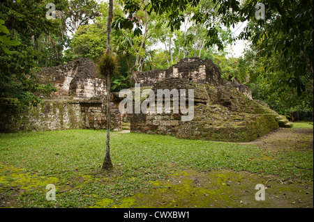 Mayan pyramid temple ruins, Tikal National Park, Parque Nacional Tikal, UNESCO World Heritage Site, Guatemala, Central America. Stock Photo