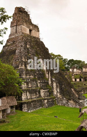 Mayan pyramid temple ruins, Tikal National Park, Parque Nacional Tikal, UNESCO World Heritage Site, Guatemala, Central America. Stock Photo