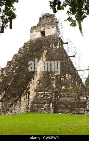 Mayan pyramid temple ruins, Tikal National Park, Parque Nacional Tikal, UNESCO World Heritage Site, Guatemala, Central America. Stock Photo