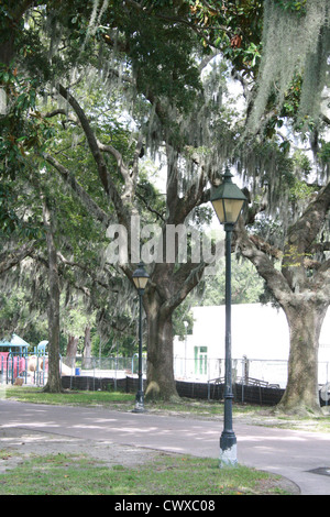 street light evening moss oak trees savannah georgia Stock Photo