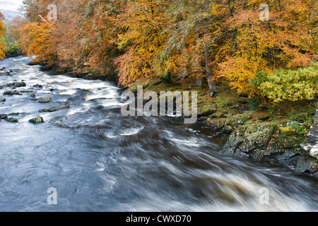 The river Dochart  just below the Falls of Dochart, in wonderful autumnal colour. Stock Photo