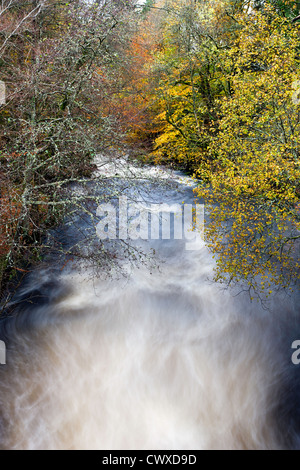 The river Dochart  just below the Falls of Dochart, in wonderful autumnal colour. Stock Photo